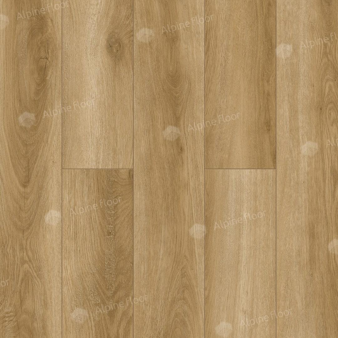 https://bitrix.alpinestore.su/upload/iblock/2c5/hl8d29sy7ie7u3jhqom264520fqaq54l/LF100_05_min.jpg