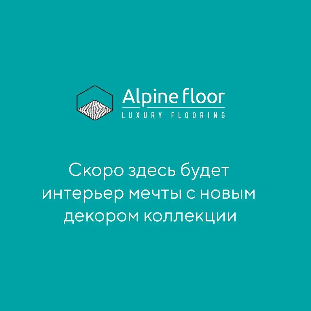 https://bitrix.alpinestore.su/upload/iblock/4cf/5gglo7no2drpdvj28x6vq2vt60no8epv/Bezymyannyy_1_Vosstanovlen_Montazhnaya_oblast_1_1_11zon.jpeg